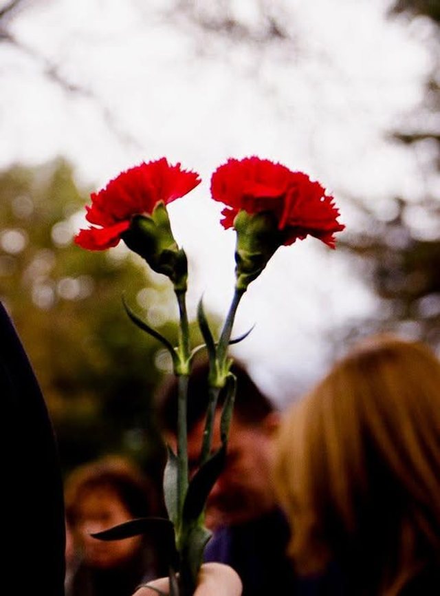 15 vite nga masakra e 21 janarit, Rama: Kat&euml;r viktimat ende nuk prehen dot