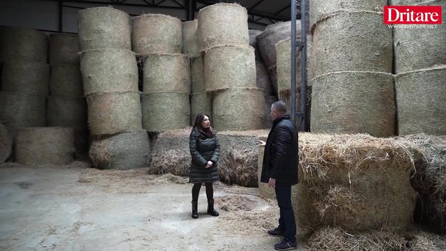 Si luftohet aflatoksina n&euml; fermat moderne shqiptare!