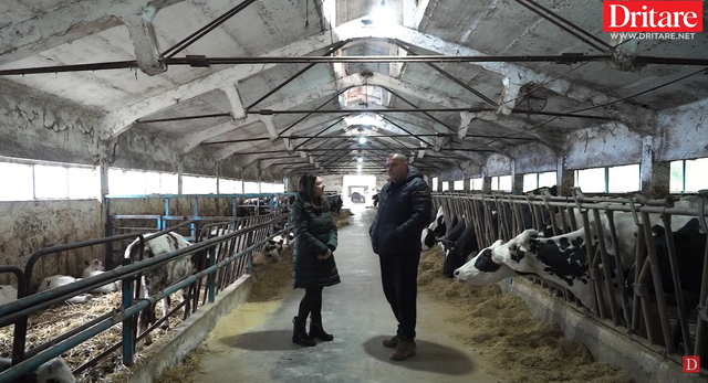 Fermeri në Vilë Bashtovë: Unë kisha qumësht me