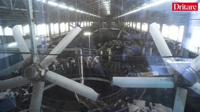 N&euml; ferm&euml;n me 1400 lop&euml; n&euml; Divjak&euml;!