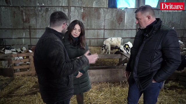 Fermer n&euml; kat&euml;r breza! Mos ma prekni qum&euml;shtin!