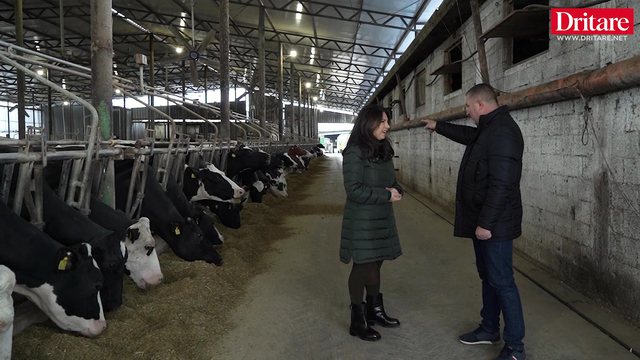 Fermer&euml;t e Kavaj&euml;s po importojn&euml; pun&euml;tor&euml; nga India: