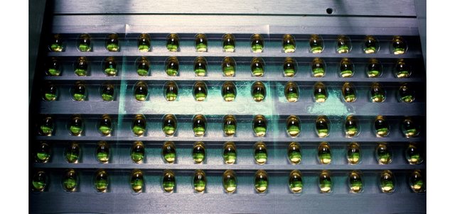 K&euml;to dy suplemente vitaminash m&euml; shum&euml; po ju d&euml;mtojn&euml;,