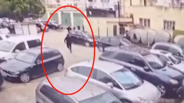 Rr&euml;fehet vras&euml;si Henrik Hoxha: Si m&euml; porosit&euml;n t&euml; vras