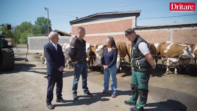 1000 lop&euml; dhe nj&euml; &euml;nd&euml;rr shqiptare. Historia e Besi Farmers