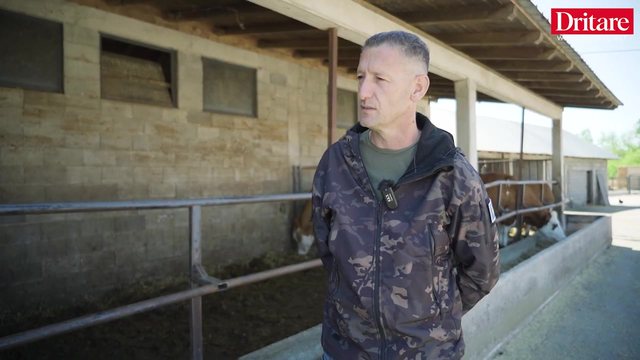 1000 lop&euml; dhe nj&euml; &euml;nd&euml;rr shqiptare. Historia e Besi Farmers
