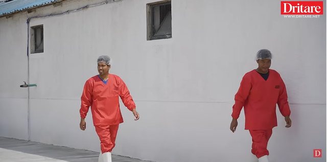 Ferma e derrave ku punojn&euml; burri, gruaja, djemt&euml; dhe dy