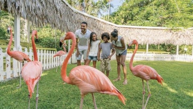 Rama: Flamingot mes paqes s&euml; Bahamasit dhe sherrit t&euml; Tiran&euml;s