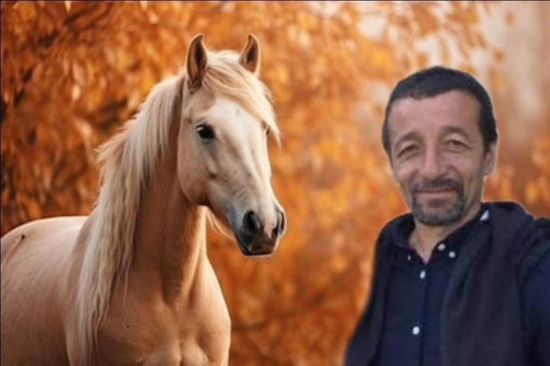 Kush është vrasësi i kuajve në Llogara, Selfo Merkohitoj!