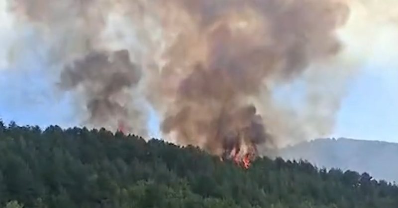 Prefektja e Shkodrës: 20 vatra zjarri janë raportuar gjatë