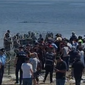 10 pyetje p&euml;r protestuesit e Zv&euml;rnecit!
