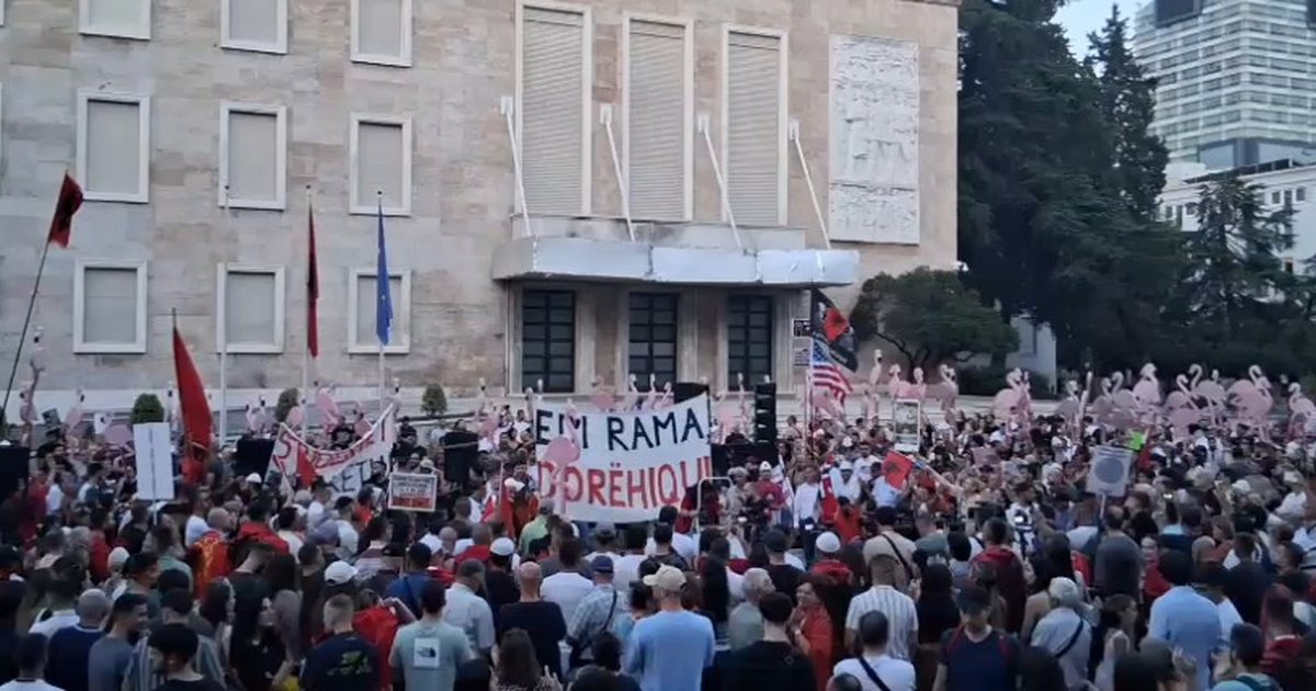 Video  Flamingot dhe dhitë në protestë para Kryeministrisë