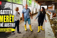 Gjëja e Gjallë na Mban Gjallë