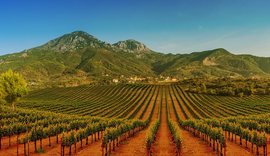 Shqip&euml;ria merr drejtimin e rrjetit global t&euml; Agroturizmit!