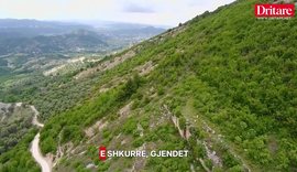 Ka nj&euml; sekret t&euml; fshehur n&euml;n Kalan&euml; e Petrel&euml;s!
