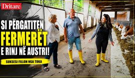 Si p&euml;rgatiten fermer&euml;t e rinj n&euml; Austri!