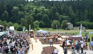 Shkolla Bujq&euml;sore LFS Warth, modeli austriak q&euml; p&euml;rgatit