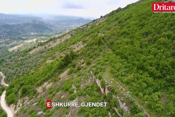 Ka nj&euml; sekret t&euml; fshehur n&euml;n Kalan&euml; e Petrel&euml;s!