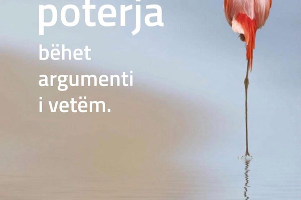 Edi Rama: Nj&euml; pasqyr&euml; p&euml;r t&euml; gjith&euml; p&euml;rgojuesit e