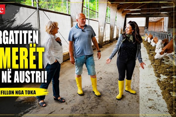 Si p&euml;rgatiten fermer&euml;t e rinj n&euml; Austri!
