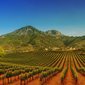 Shqip&euml;ria merr drejtimin e rrjetit global t&euml; Agroturizmit!