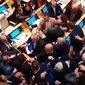 Seanca plenare kthehet n&euml; &lsquo;aren&euml; boksi&rsquo; n&euml; Gjeorgji,