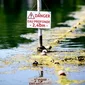Evropa n&euml;n pushtetin e vap&euml;s, 40 t&euml; mbytur n&euml; Franc&euml;!