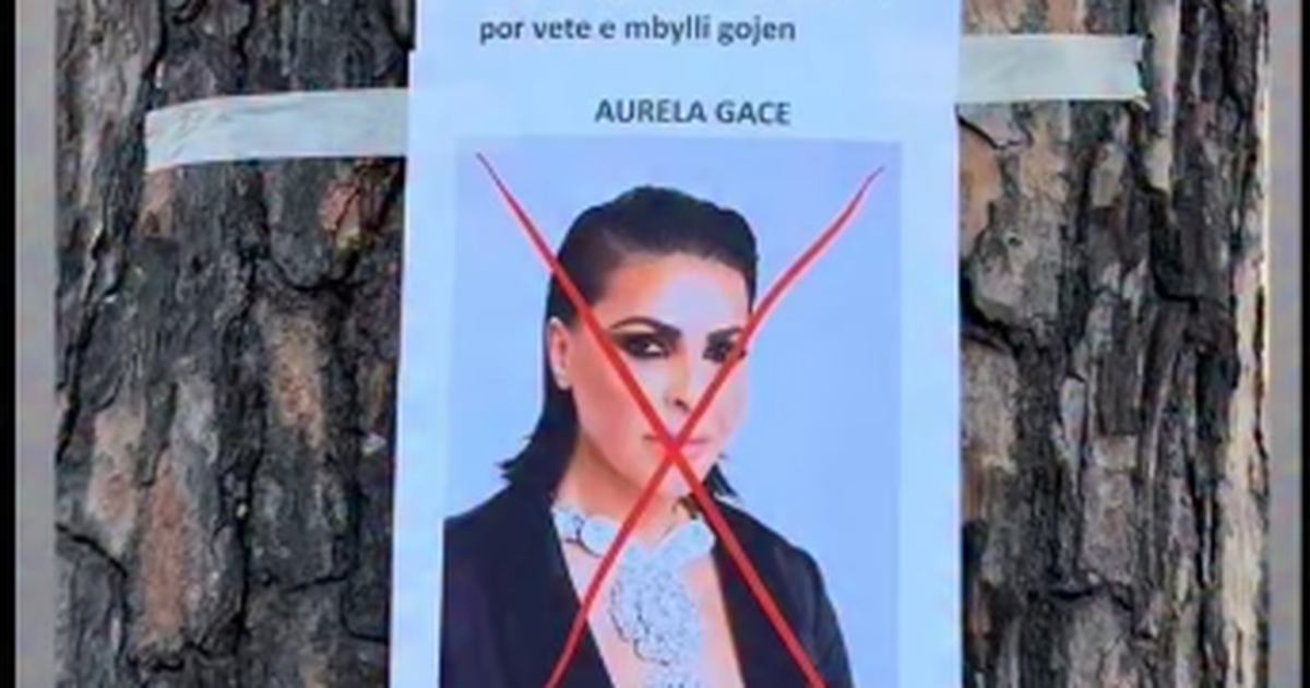 Aurela Gaçe  Nuk më diktoni dot mua si ta dua vendin tim 