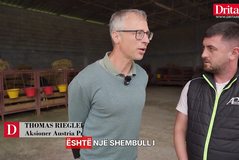 Eksperti austriak: Shqip&euml;ria ka potencial t&euml; jasht&euml;zakonsh&euml;m