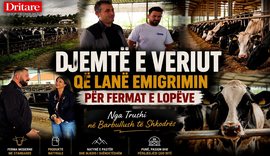 Djemt&euml; e veriut q&euml; lan&euml; emigrimin p&euml;r fermat e lop&euml;ve!