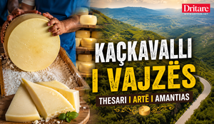 Ka&ccedil;kavalli i Vajz&euml;s, thesari i art&euml; i Amantias!