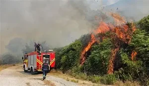 IGJEO ngre alarmin: Rrezik shum&euml; i lart&euml; p&euml;r zjarre sot dhe