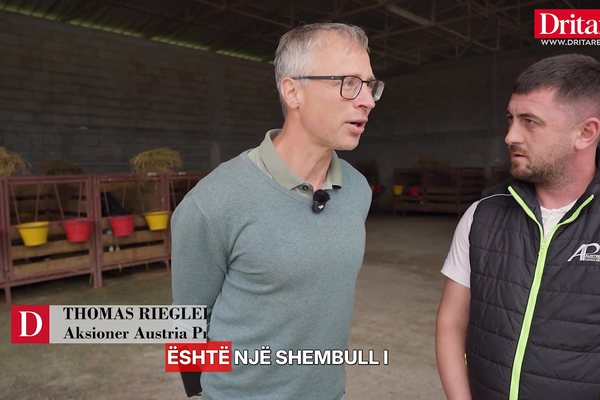 Eksperti austriak: Shqip&euml;ria ka potencial t&euml; jasht&euml;zakonsh&euml;m