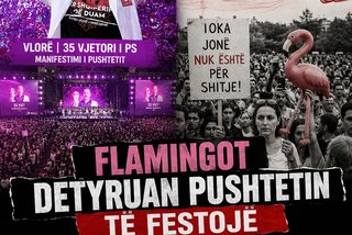 Anti-mitingu i partisë si përgjigje ndaj revolucionit të flamingos