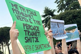 Revolucioni i Flamingos është kryengritja e dinjitetit njerëzor