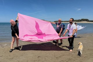 Brezi Z merr fjalën me anë të Revolucionit të Flamingove Rozë