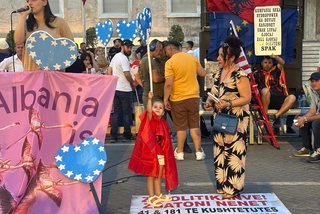Flamingot, integrimi europian dhe 