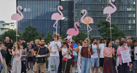 Ra ky flamingo dhe u pamë!