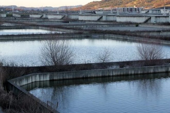 Nga Laguna te Lana: Çfarë Na Tregon Revolucioni i Flamingove për Modelin Rama të Turizmit