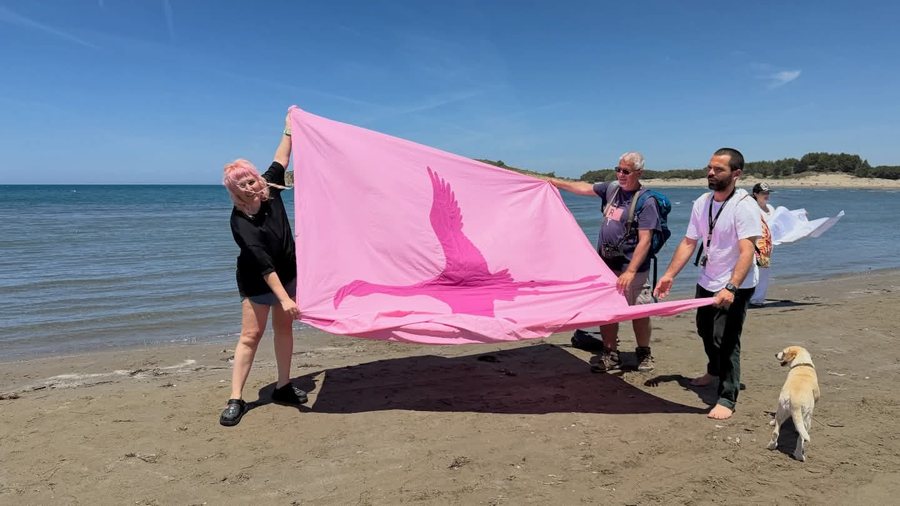 Brezi Z merr fjalën me anë të Revolucionit të Flamingove
