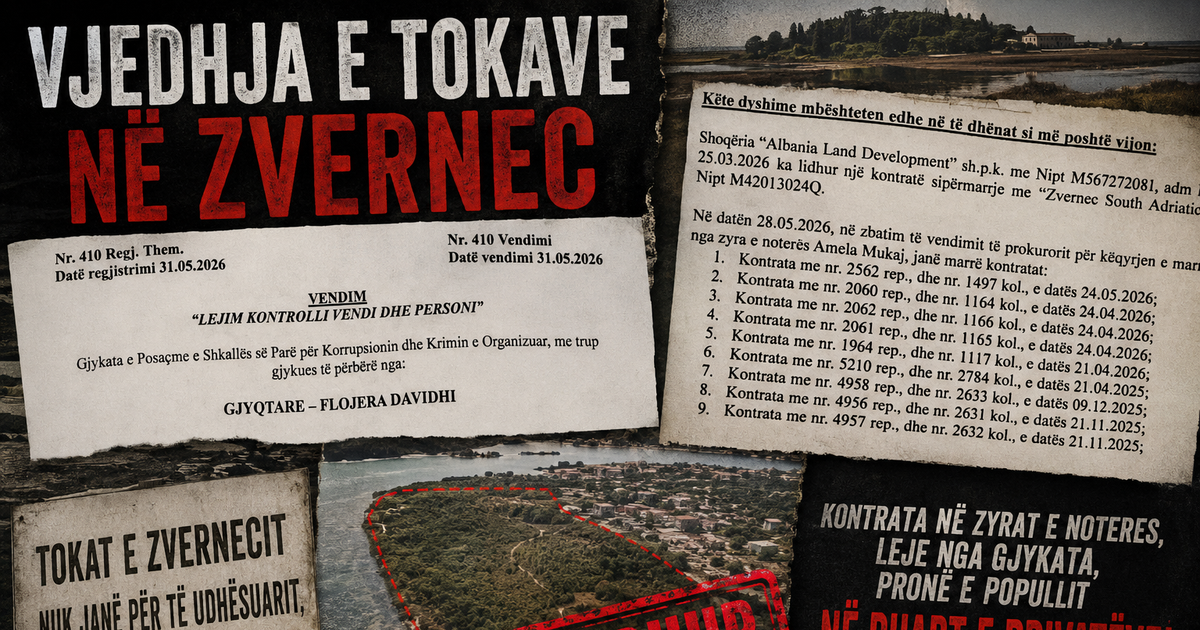 spak-ne-zvernec-cfare-fshihej-pas-ne-makinacionin-me-tokat
