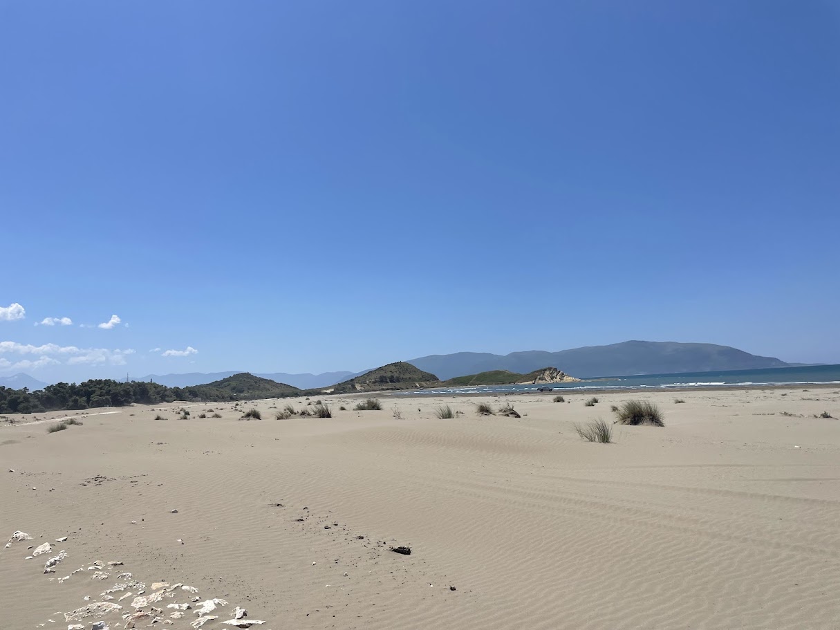 Plag&euml;t e buldozer&euml;ve mbi &lsquo;Folen&euml; e Zogjve t&euml;