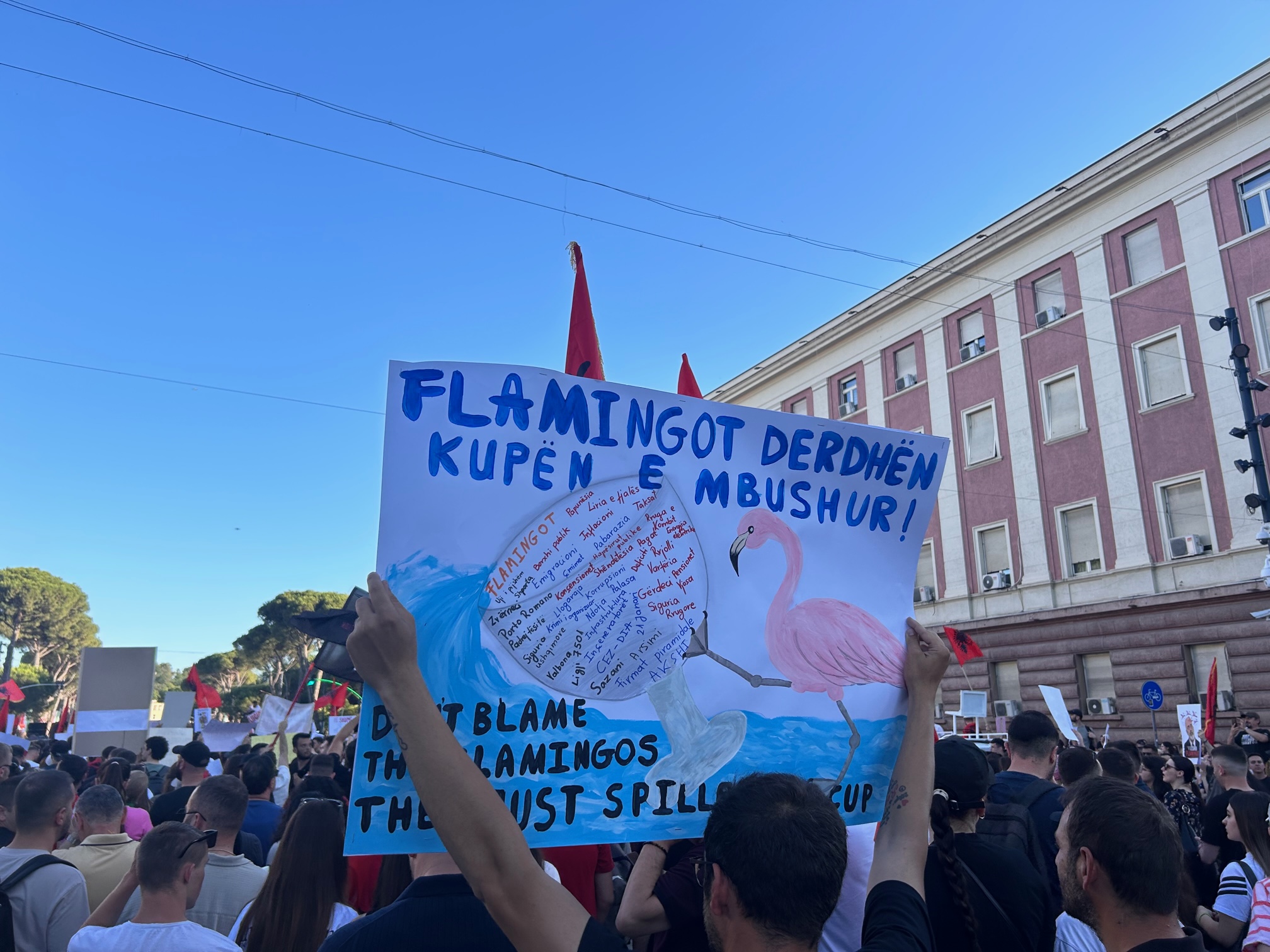 nje protestues i ri mban ne dore nje pankarte kunder regjimit te 36 viteve dhe revolucionit te flamingove. foto nensi bogdani