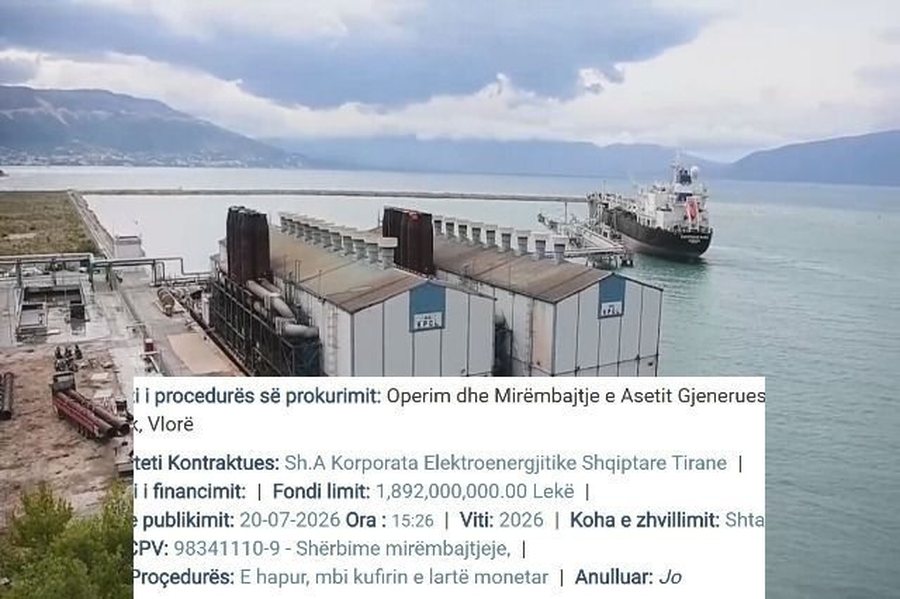 Çmenduria me “Tigrat” në Vlorë/ KESH hap tender 20
