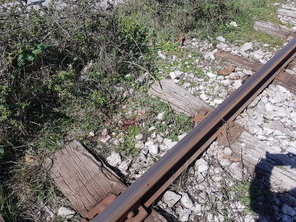 Treni p&euml;rplas 12-vje&ccedil;aren n&euml; Bradashesh, ndodhet n&euml;