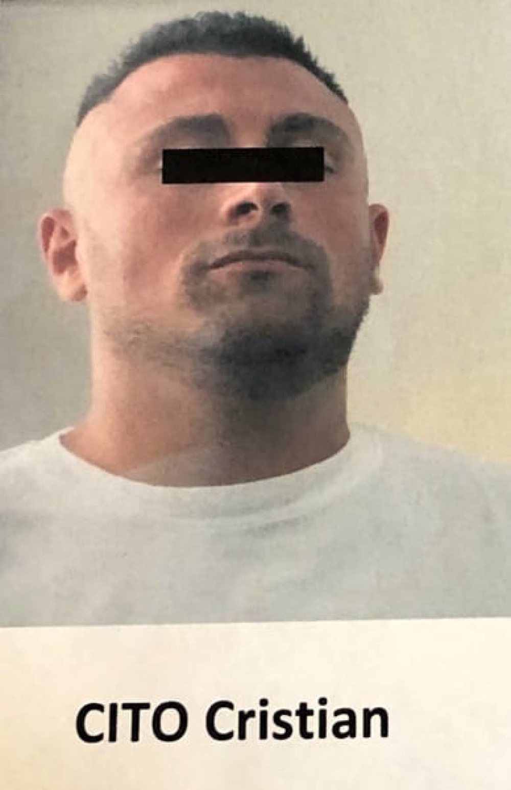 Kapet n&euml; Italia gomonia e nisur nga Shqip&euml;ria me 500 kg kanabis, 4