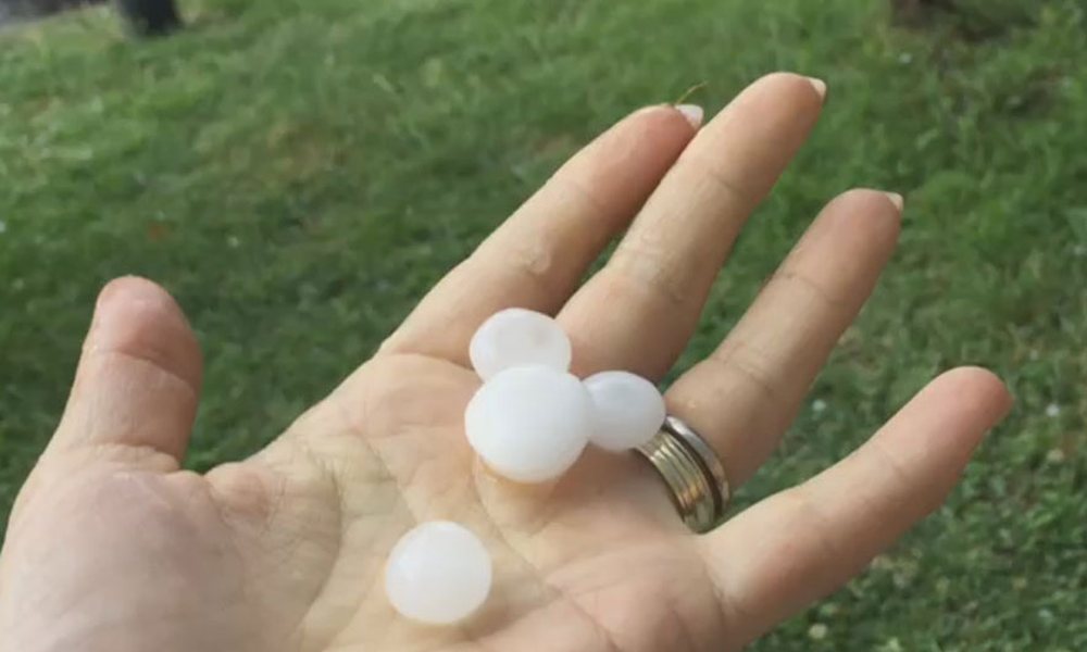 '&Ccedil;mendet' n&euml; vend, reshje t&euml; dendura dhe bresh&euml;r