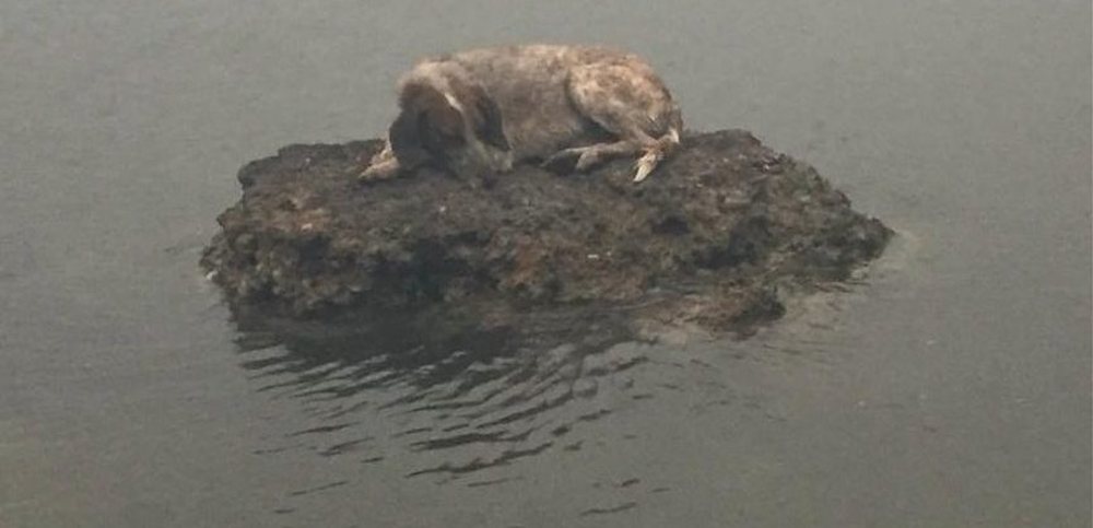 FOTOT/ Pamje t&euml; r&euml;nda nga Greqia, tym, flak&euml; dhe njer&euml;z