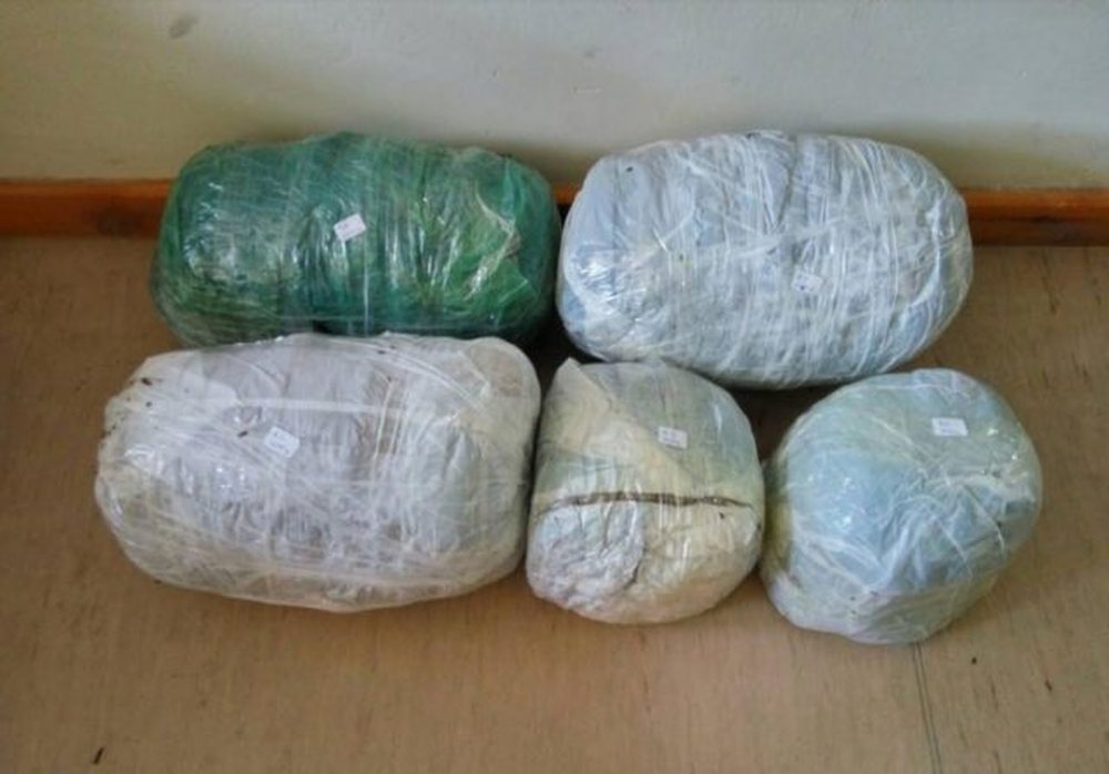 Sekuestrohen 73 kg marijuan&euml; n&euml; kufirin greko-shqiptar
