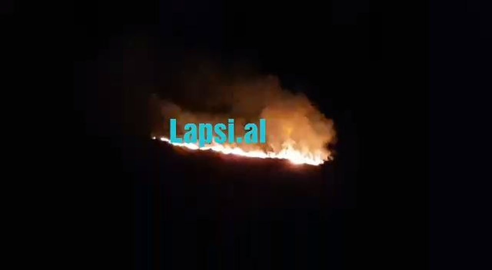 Zjarr masiv n&euml; kodrat e Radhim&euml;s (VIDEO)
